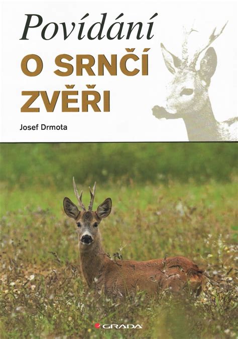 Infografika: Pôvod a povery o srnčí ratlíkoch