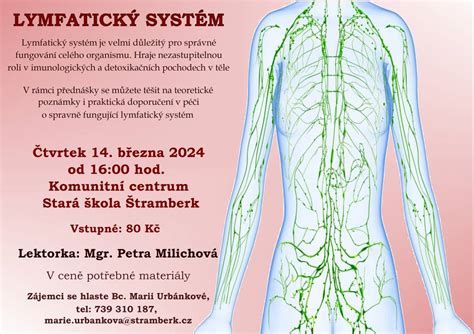 Infografika: Lymfatický systém psa a rozmnožovanie lymfocytov