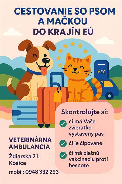 Infografika: Základné doklady psa na cestovanie v EÚ