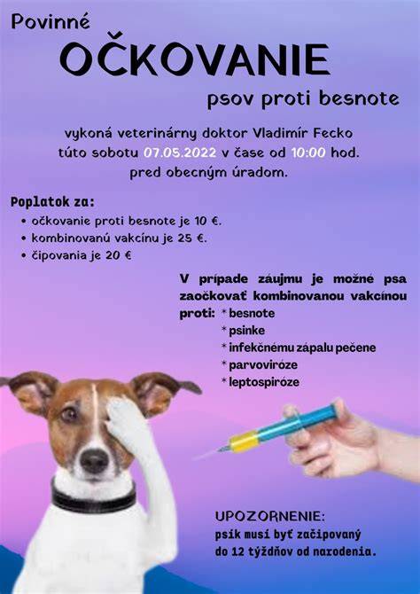 Infografika: Základná schéma očkovania psa (8, 12, 16 týždeň a následné preočkovanie)