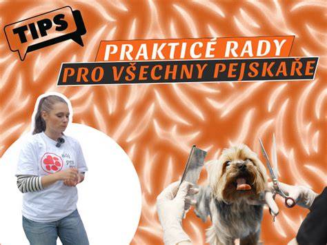 Praktické tipy na starostlivosť: srsť, uši, oči a nechty