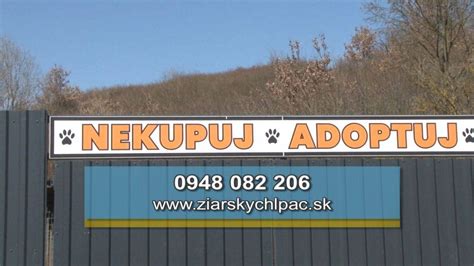 Kontakt útulku Žiar nad Hronom: Žiarsky chlpáč - adresy a možnosti pomoci
