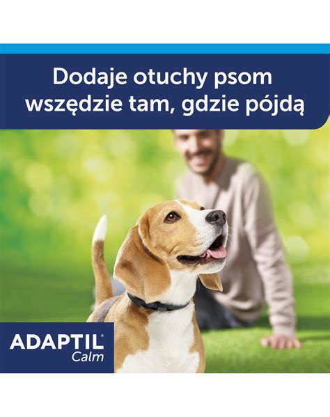 Ilustrácia psa s obojkom Adaptil
