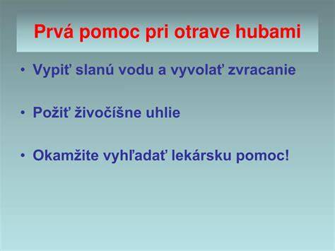 Infografika: Ako vyvolať prvú pomoc pri otrave psa