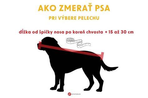 Infografika: Ako vybrať správnu veľkosť pelechu podľa veľkosti psa
