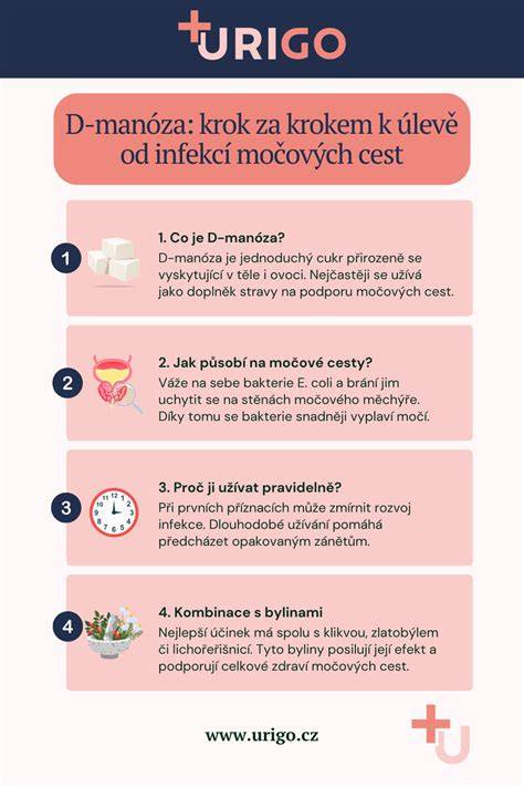 Infografika: Cesty zápchy a tipy na prevenciu u psov