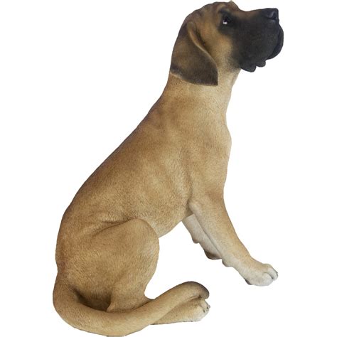 Infografika o výžive nemeckej dogy