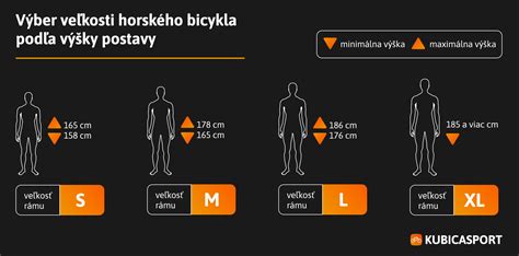 Infografika: Ako vybrať veľkosť psa podľa veľkosti bytu a času na prechádzky