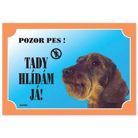 Porovnávacia tabuľka exteriérov jazvečík x kokršpaniel