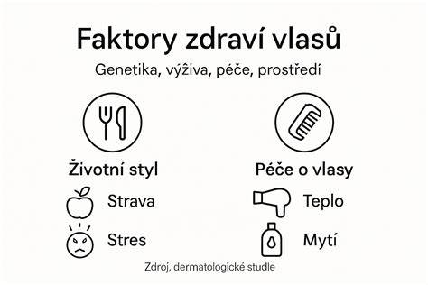 Infografika: Faktory vedúce k ničenia zo strany psa