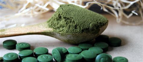 Porovnanie spiruliny a chlorelly