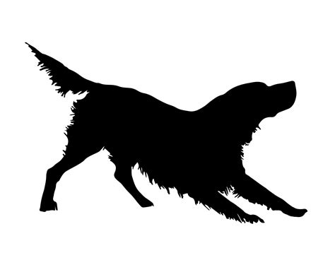 Biela silueta psa v rannom mraze ako symbol nádeje