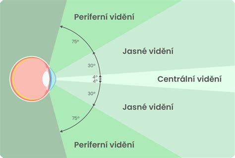 Infografika: Porovnanie psieho a ľudského videnia (farebné spektrum, zorné pole, tapetum lucidum)