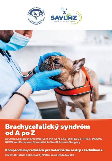 Infografika: Brachycefalický syndróm a dýchacie cesty psov