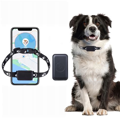 gps_lokator_pre_psa
