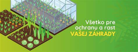 Vizualizácia fungovania Foresta: matrica a uvoľňovanie účinných látok