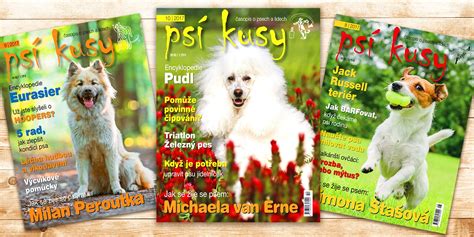 obálka časopisu Psí kusy