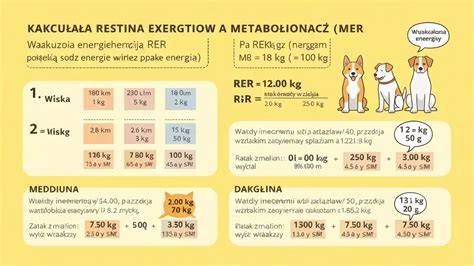 Infografika: MER a RER vo výžive psa