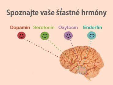 Grafy: vplyv olizovania na hormóny šťastia a bezpečnosť ľudí