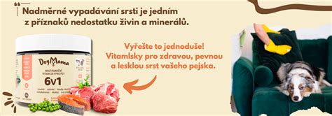 Výživa psa pre zdravú srsť