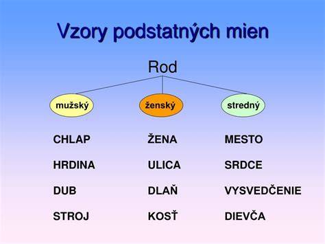 Infografika: Vzory podstatných mien a ich rody v slovenčine