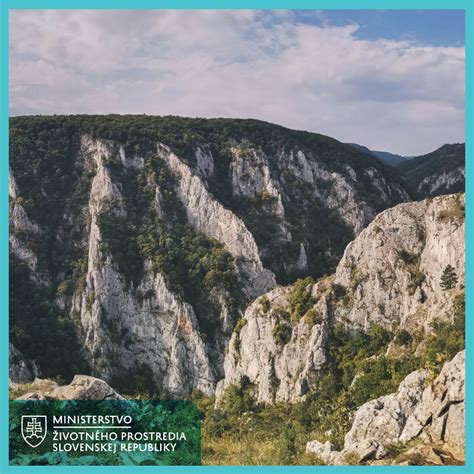 infografika o počte poľovných revírov a ich výmere na Slovensku