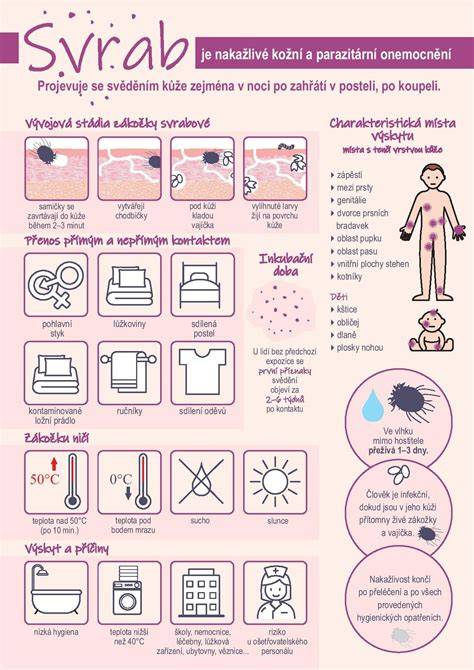 Infografika o tom, ako svrab vzniká a šíri sa