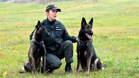 Mici: mačička záchrana tímom policajných psov