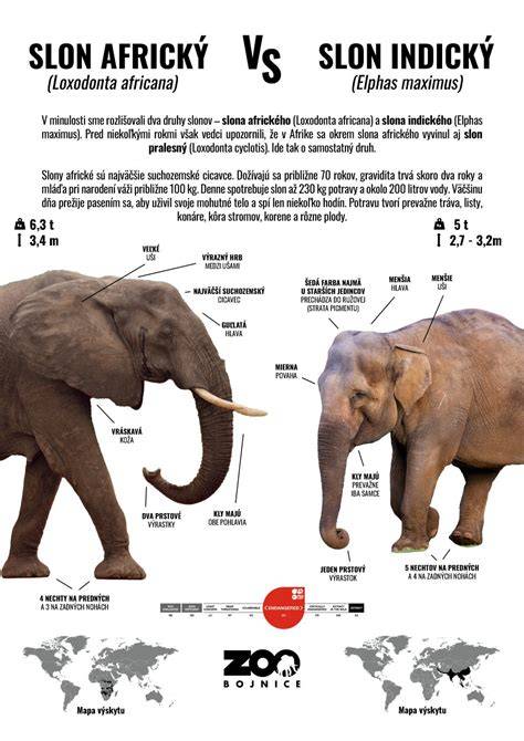 Infografika: Rozdiel medzi zvracaním a regurgitáciou, bežné príčiny, a postupy pri domácej starostlivosti