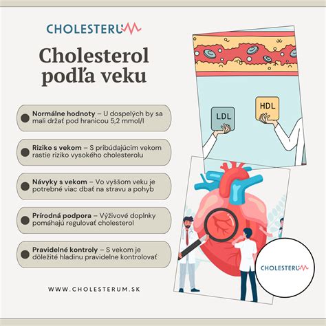 Infografika: Správny plán kŕmenia zlatého retrievera podľa veku a hmotnosti