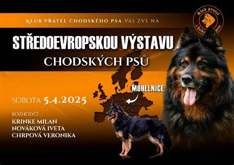 Schéma použitia chodského psa vo finančných a pracovných aktivitách
