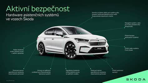 infografika_pes_definicia_a_bezpecnost.png