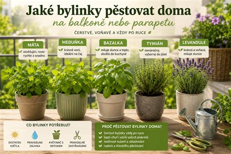 Infografika: Bezpečné a nebezpečné bylinky pre psov