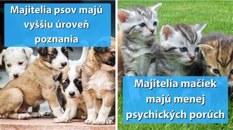 Infografika: Spôsoby pohrebovania a likvidácie telíčka domáceho zvieraťa na Slovensku