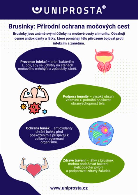Infografika: Močové cesty psa a možné príčiny upchaného prechodu