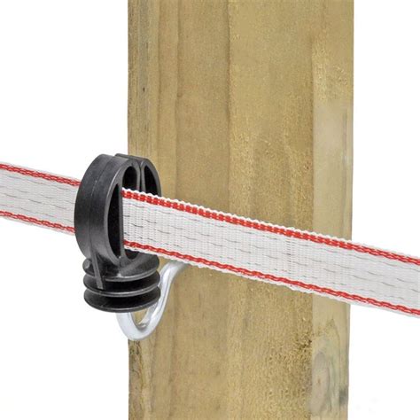 Pes so zahnutým chrbtom