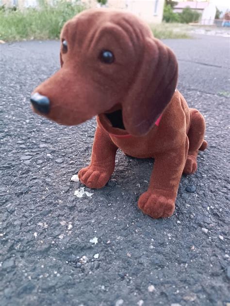 Pes s naklonenou hlavou