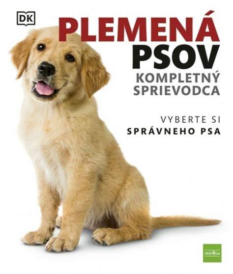 Штатная инфографика: Вzory správneho výcviku psa počas prvých mesiacov