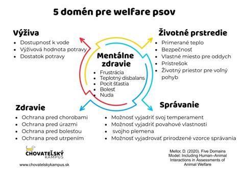 infografika_welfare_psov.png