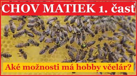 Tabuľka: Genotypy a ich význam pre chov DM