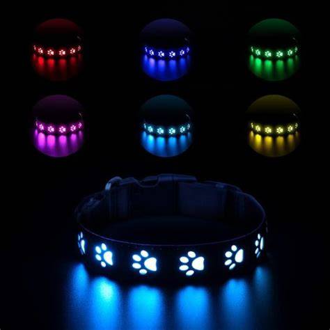 Reflexný a LED obojky - výber a kategórie