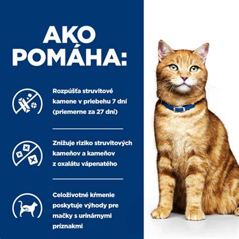 Infografika: Správne typy postrojov a ich výhody pre mačky