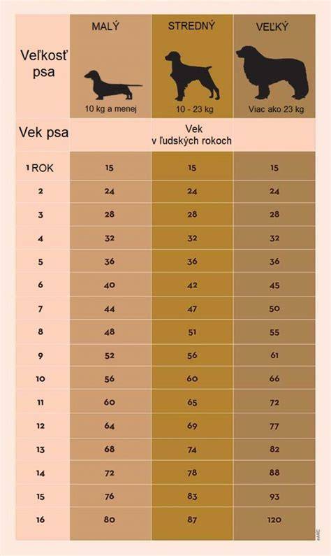 Infografika: Porovnanie fenky a psa do bytu (pohlavie, vek, výcvik, nároky na pohyb)