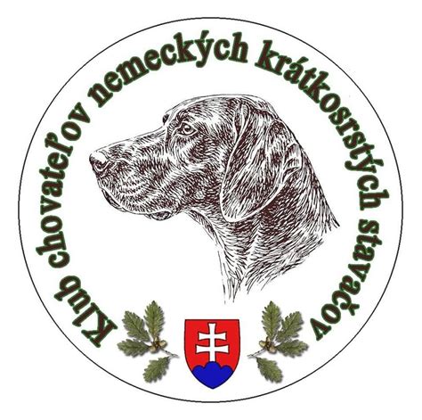 Ilustrácia starostlivosti o srsť nemeckého stavača dlhosrstého a krátkosrstého