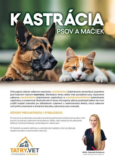 Infografika: 2 hlavné metódy kastrácie u psov a u mačiek (ovariohysterektómia, ovariektómia, sterilizácia)