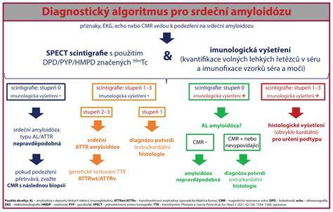 Infografika: diagnostický postup pri svrbení psa