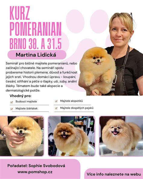 Infografika: Porovnanie srsti Pomeranian a starostlivost o ňu