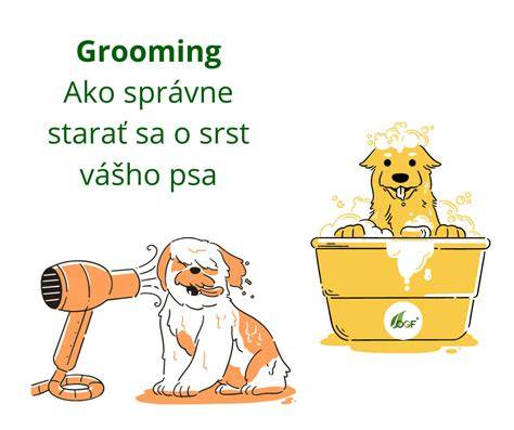 Infografika: Ako rozpoznať typ srsti psa a ako sa o ňu starať