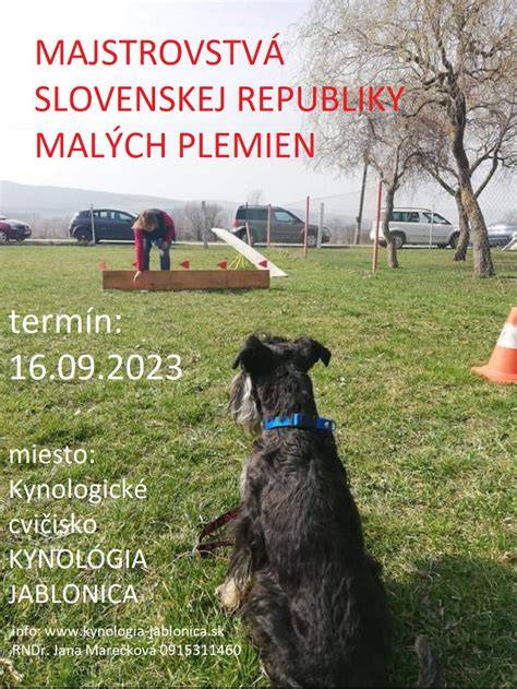 Infografika: Výhody a nevýhody malých plemien psov v byte