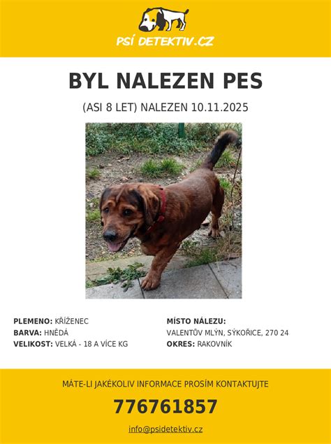 Pes v kamienkovom obojku